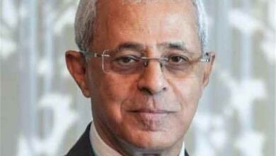 نائب وزير الخارجية: الحوثيون ينفذون استراتيجية إيرانية لعسكرة البحر الأحمر