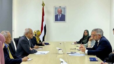 نائب وزير الخارجية يبحث مع سفيري الاتحاد الأوروبي وهولندا تعزيز الشراكة والدعم السياسي والتنموي