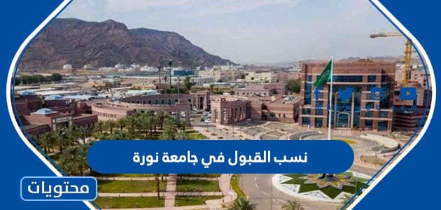 نسب القبول في جامعة نورة 1445