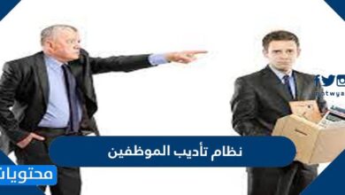 نظام تأديب الموظفين