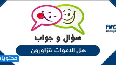 هل الأموات يتزاورون