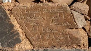 صورة من الألبوم