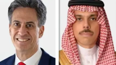 وزير الخارجية يبحث مع نظيره البريطاني أمن الممرات المائية