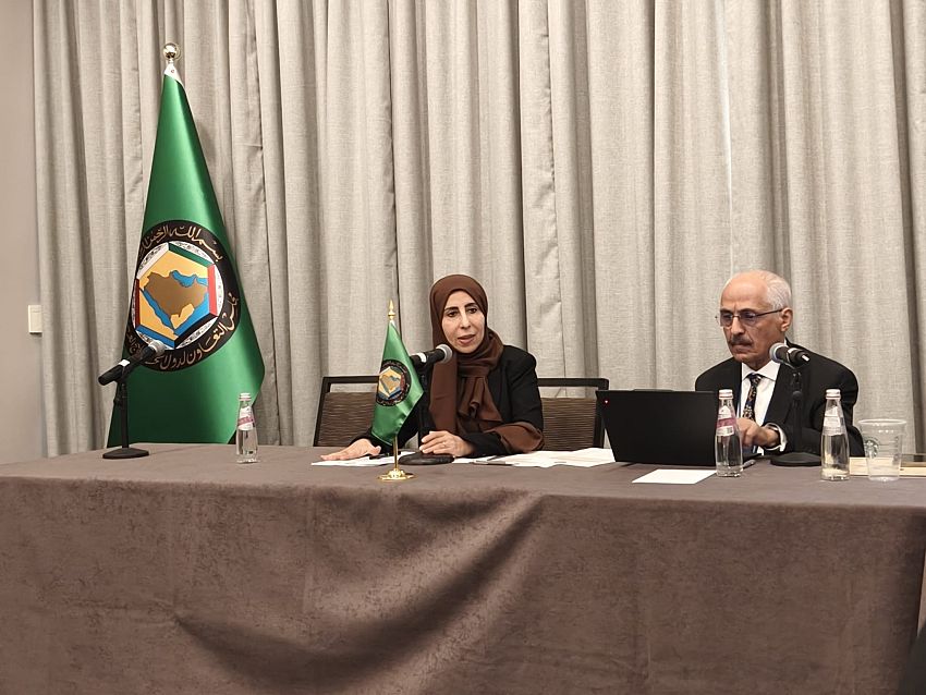 وزيرة الخارجية تؤكد أهمية نزع سلاح الجماعات المسلحة ودعم مؤسسات الدولة