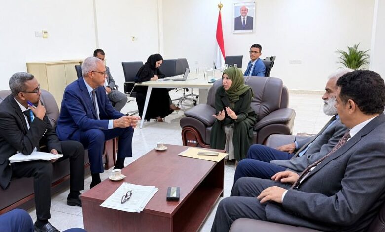 وزيرة الخارجية تبحث مع المنسق المقيم للأمم المتحدة تعزيز الاستجابة الإنسانية والتنموية