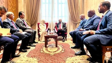وزيرة الخارجية تبحث مع نظيرها السوداني تعزيز التعاون والتنسيق المشترك وحماية الملاحة