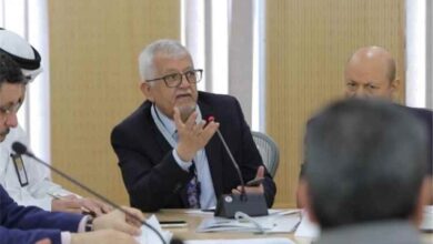 ياسين سعيد نعمان: استعادة باب المندب أولوية عاجلة قبل تغيّر معادلة الحرب