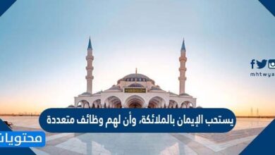 يستحب الإيمان بالملائكة، وأن لهم وظائف متعددة