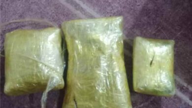 يقظة أمنية تُحبط محاولة تهريب 3 كجم من الحشيش المخدر عبر البوابة الشرقية لحضرموت