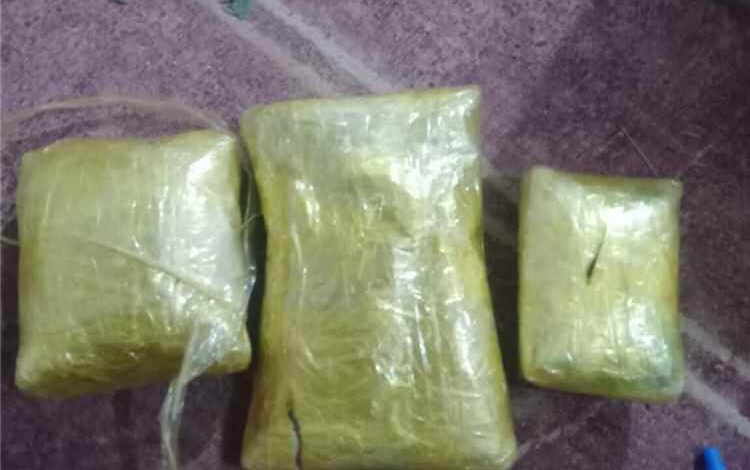 يقظة أمنية تُحبط محاولة تهريب 3 كجم من الحشيش المخدر عبر البوابة الشرقية لحضرموت